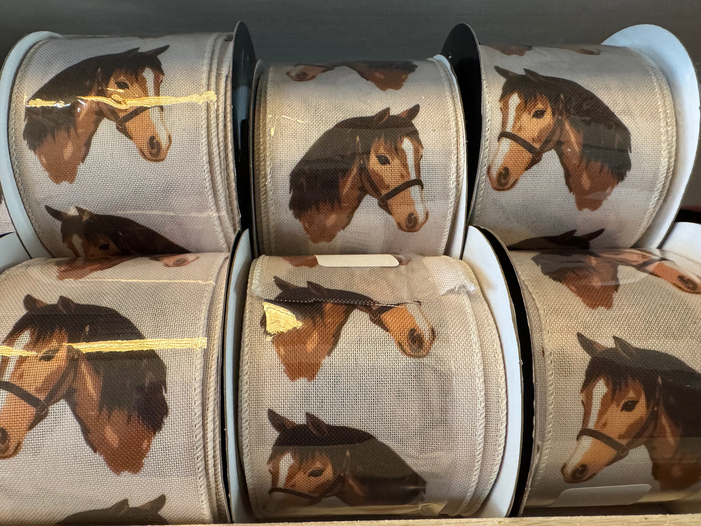 2.5in Horse Ribbon