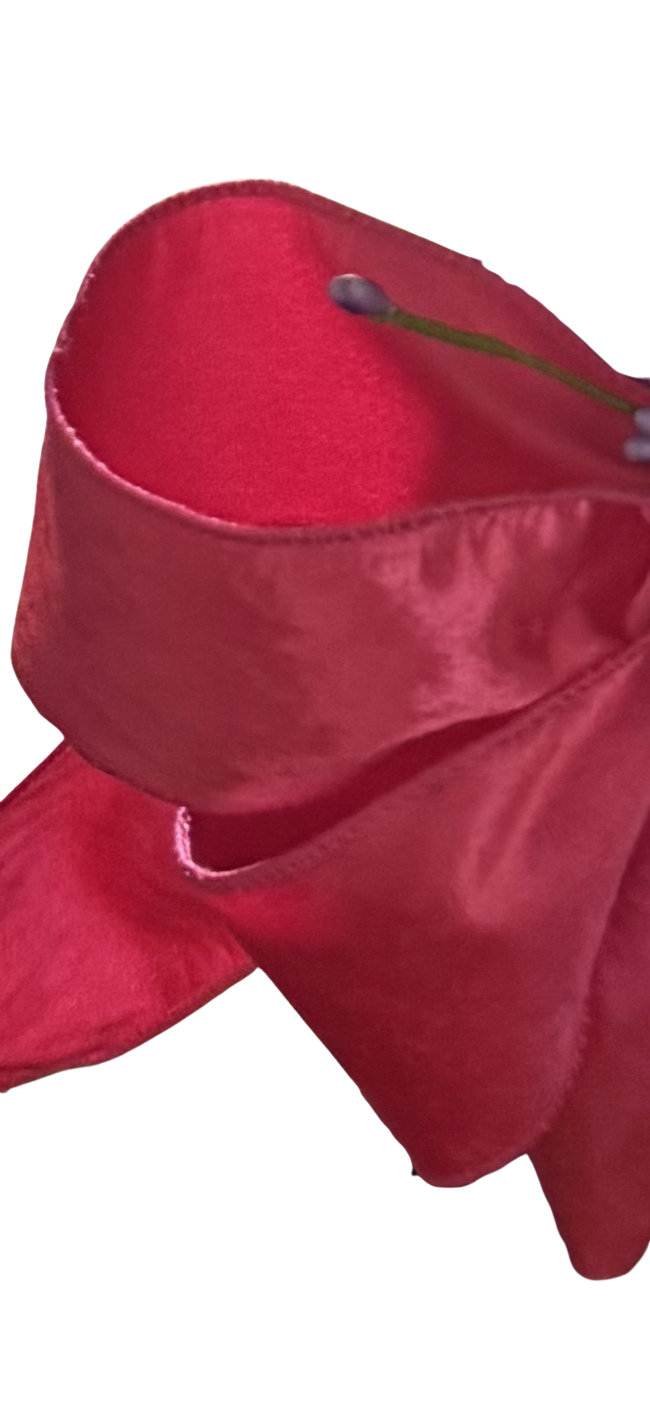 2.5" Velvet Ribbon with backing