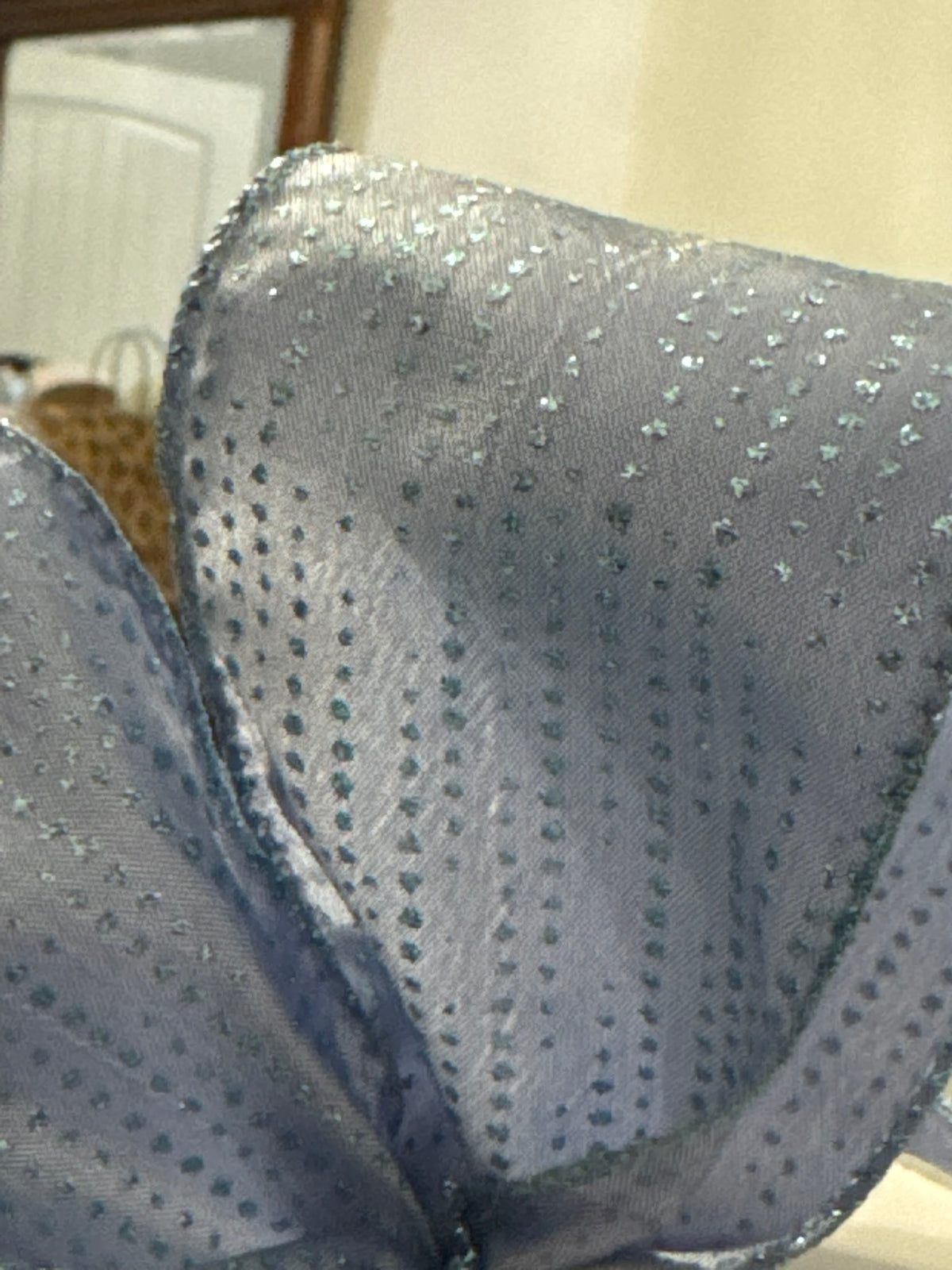 2.5 in Sheer w/Glitter Dots Wire Ribbon